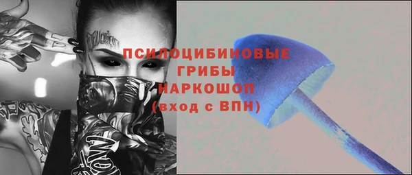 spice Алзамай