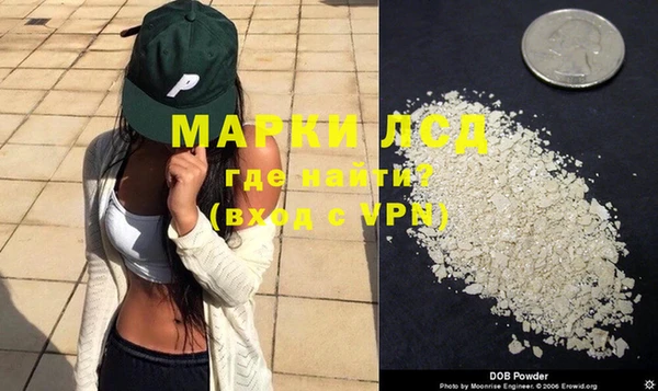 spice Алзамай