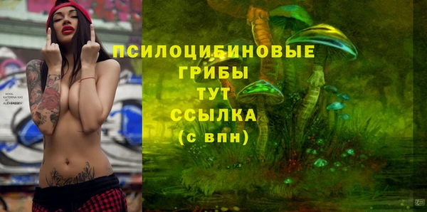 спайс Алексеевка