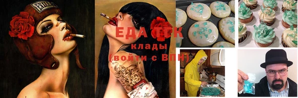 spice Алзамай