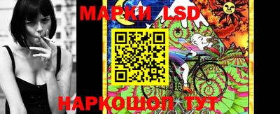 Альфа ПВП Краснодар