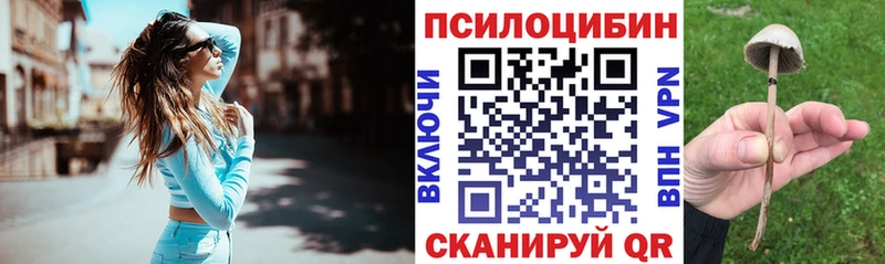 shop телеграм  Ипатово  Галлюциногенные грибы мухоморы 
