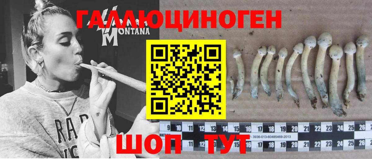 Псилоцибиновые грибы Psilocybe Ипатово