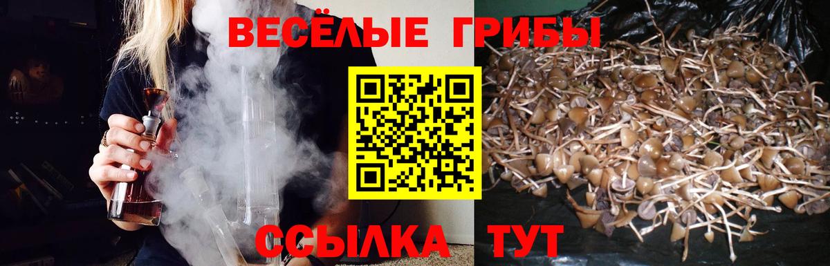 Ипатово  купить   Вход с VPN  Галлюциногенные грибы ЛСД 